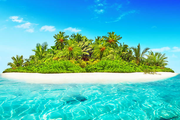 istock Whole tropical island within atoll in tropical Ocean. 520657130