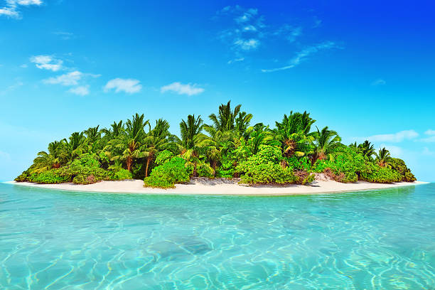 istock Whole tropical island within atoll in tropical Ocean. 520657206
