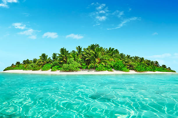 Whole tropical island within atoll in tropical Ocean. Whole tropical island within atoll in tropical Ocean. Uninhabited and wild subtropical isle with palm trees. Equatorial part of the ocean, tropical island resort. atoll stock pictures, royalty-free photos & images