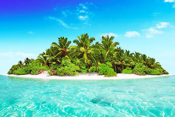 istock Whole tropical island within atoll in tropical Ocean. 520657404