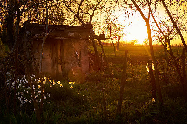 Old cottage in the garden