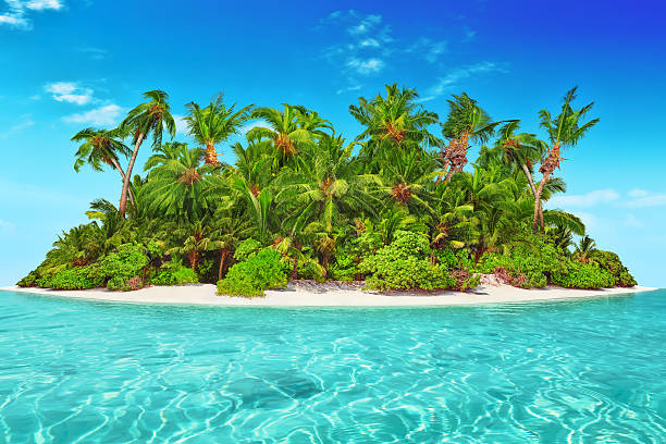 istock Whole tropical island within atoll in tropical Ocean. 520657490