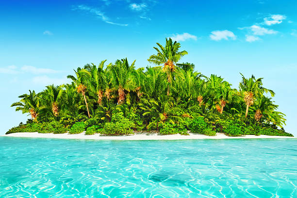 istock Whole tropical island within atoll in tropical Ocean. 520657674