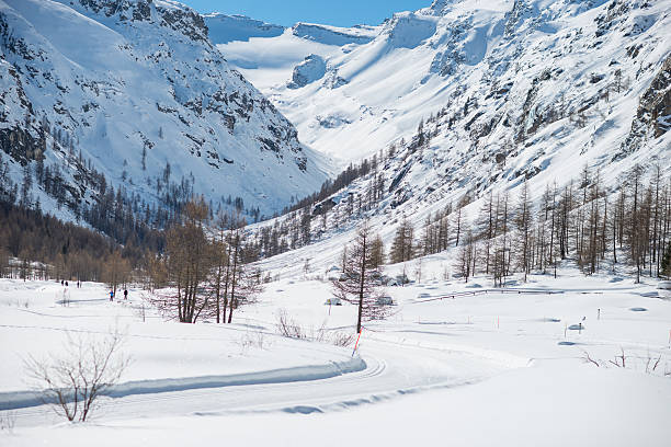 istock Winter Landscape with Snow and Trees 520658121