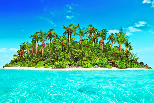 istock Whole tropical island within atoll in tropical Ocean. 520658162