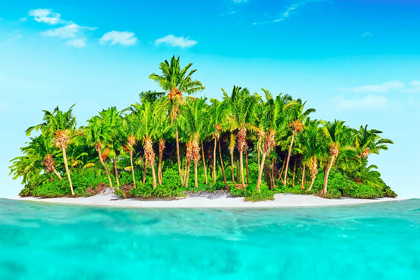 istock Whole tropical island within atoll in tropical Ocean. 520658530