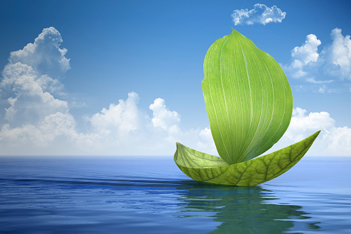 sailboat made of green leaves is floating on the water. Nature symbol