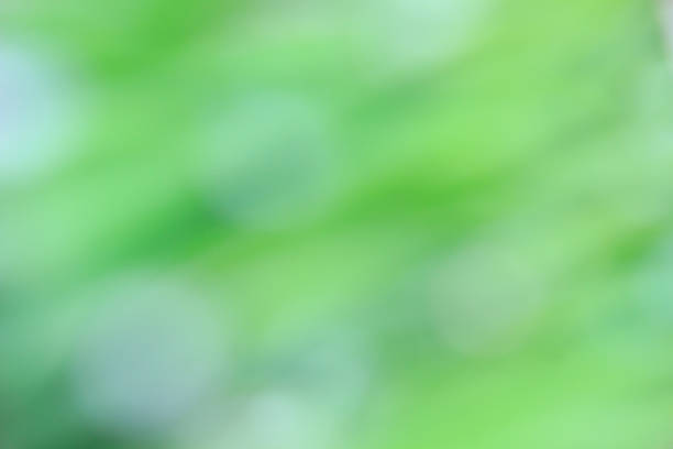 istock Natural green bright blur background. 520658889