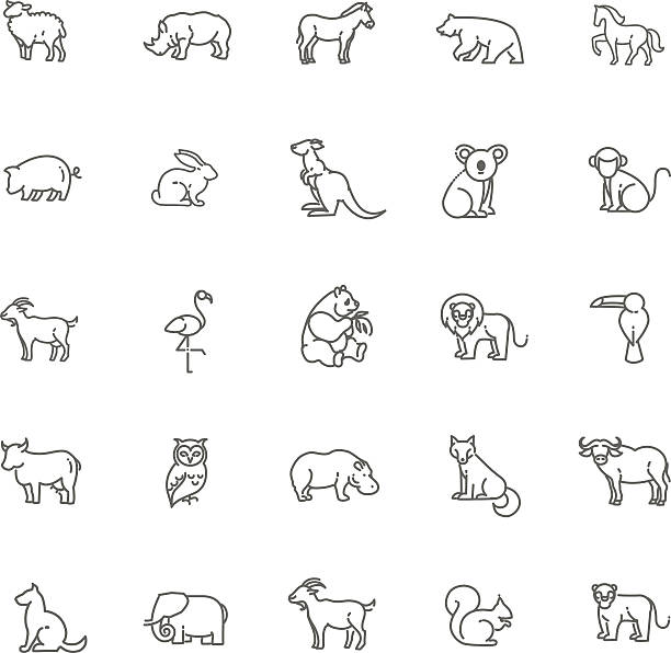 ilustraciones, imágenes clip art, dibujos animados e iconos de stock de iconos de animales - panda animal