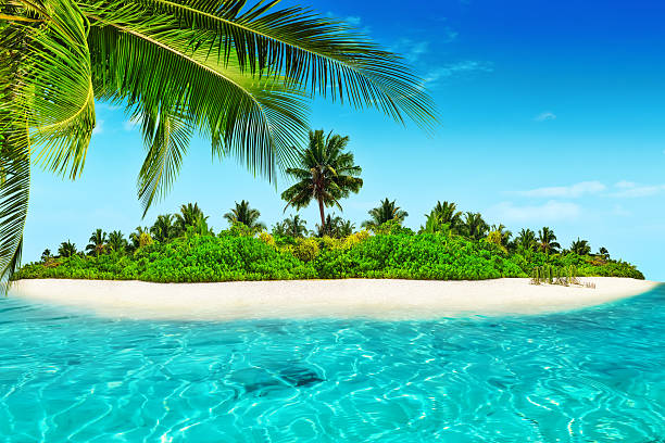 istock Whole tropical island within atoll in tropical Ocean. 520659538