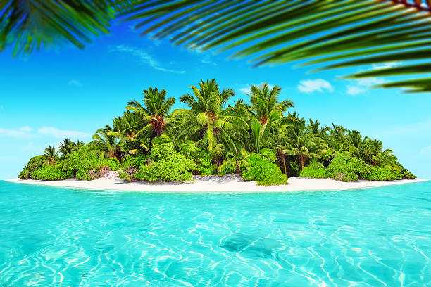istock Whole tropical island within atoll in tropical Ocean. 520659600