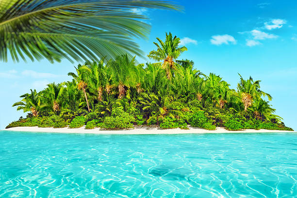 istock Whole tropical island within atoll in tropical Ocean. 520659666