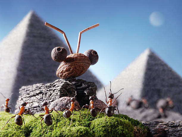 ants civilization, sphinx and pyramid, Ant Tales