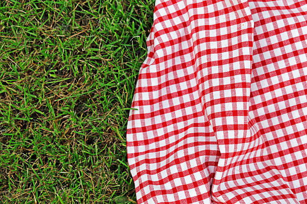 istock checkered plaid for picnic on green grass 520661195