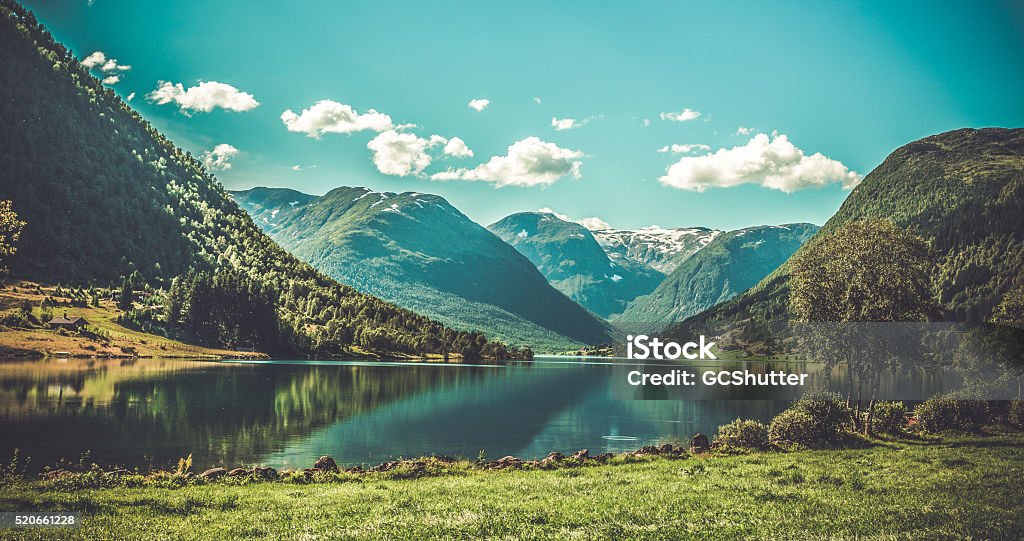 Grogeous Landscape of Norway World Famous Fjords of Norway Nature Stock Photo