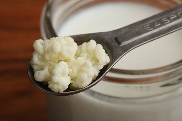 Milk Kefir A measuring spoon of milk kefir grains resting on a jar of homemade milk kefir, on a wood backgroundA measuring spoon of milk kefir grains resting on a jar of homemade milk kefir, on a wood background healthy eating color image horizontal nobody stock pictures, royalty-free photos & images