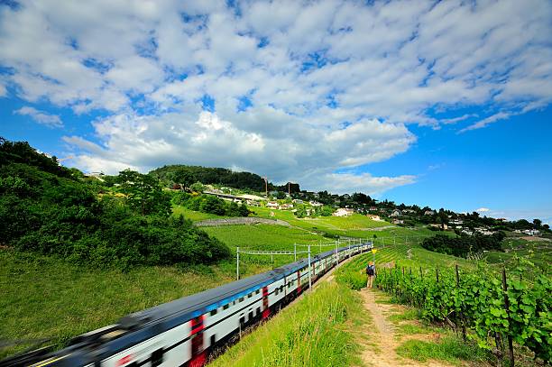 istock train went through the lausanne vineyard 02 520665111