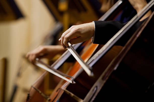 istock Hands of the man playing the cello 520687621