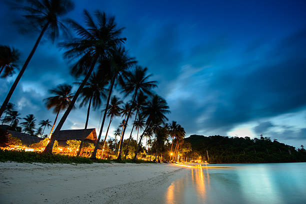 istock Bungalows, palms and beach at sunset in thailand paradise 520689571