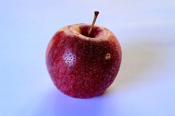 A photo of a wet red apple