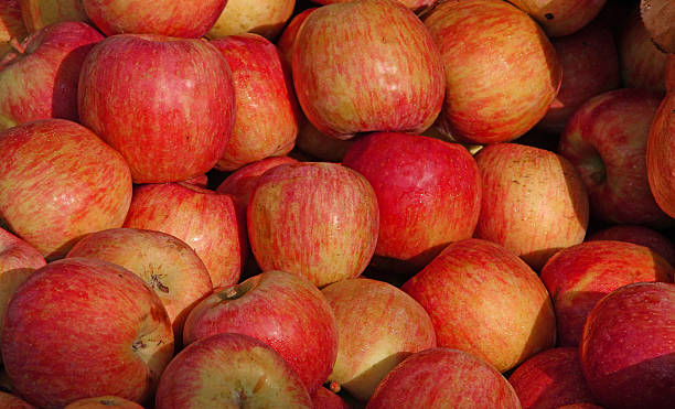 istock background of red apples 520690935