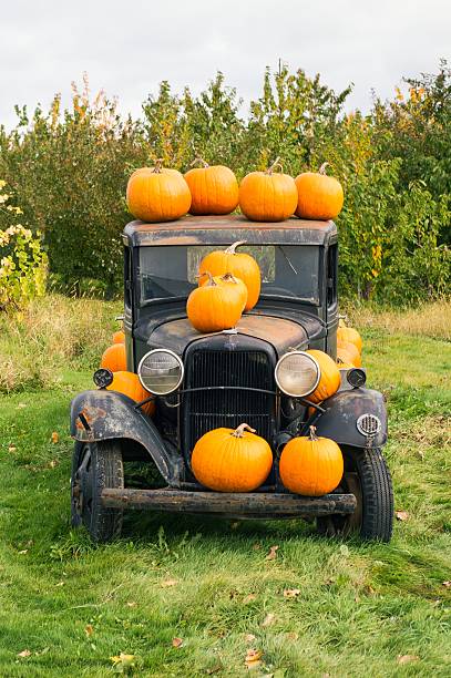 istock Pumpkins on old truck 520692261