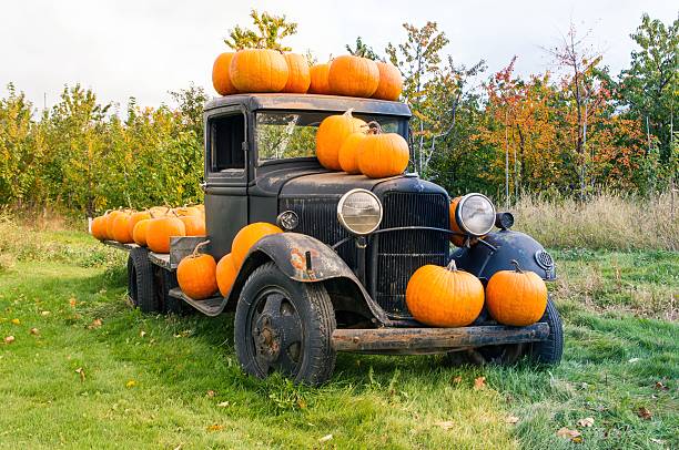 Pumpkins on old truck