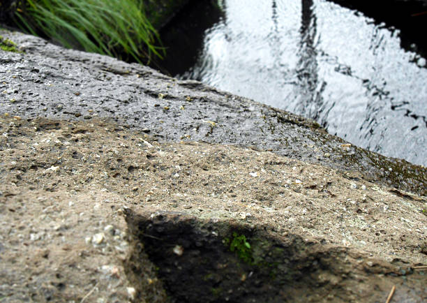 molhado pedras perto do lago de água - leachate - fotografias e filmes do acervo