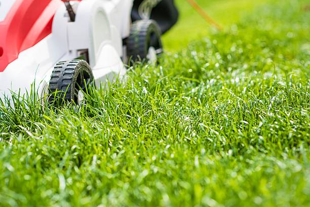 istock Lawn mower cutting green grass in garden. 520705496