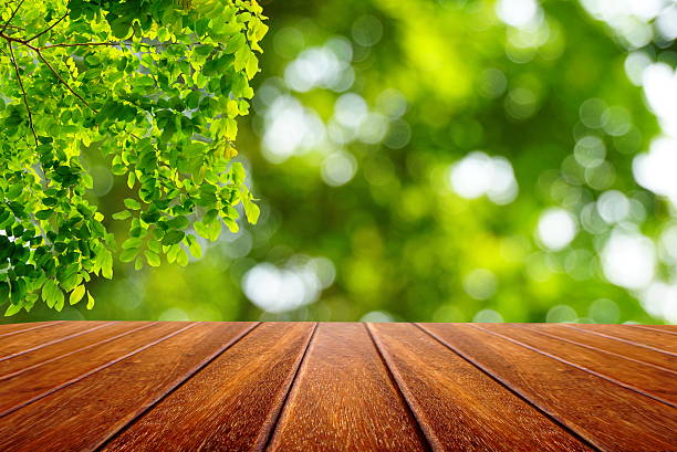 istock wooden table green leaves on nature background 520705810