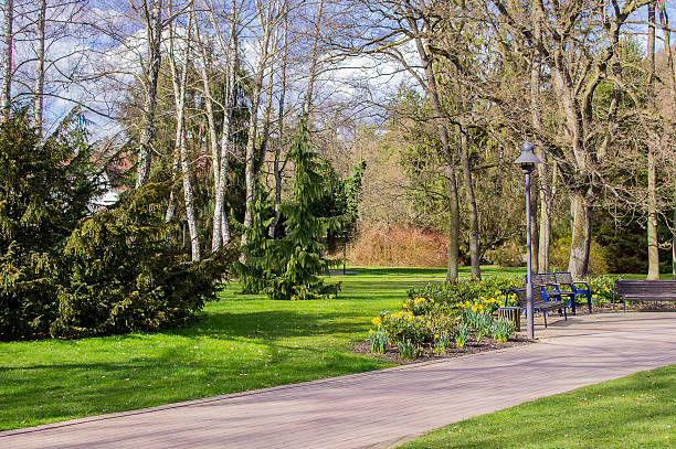 istock Beautiful scenery in the park. 520705924