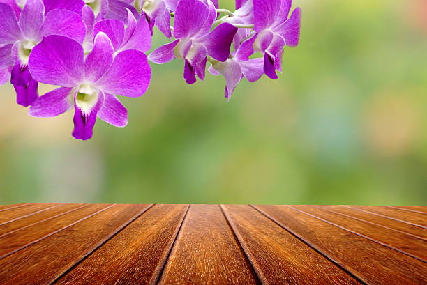 istock wood table empty space with purple Thai orchid flower 520706892