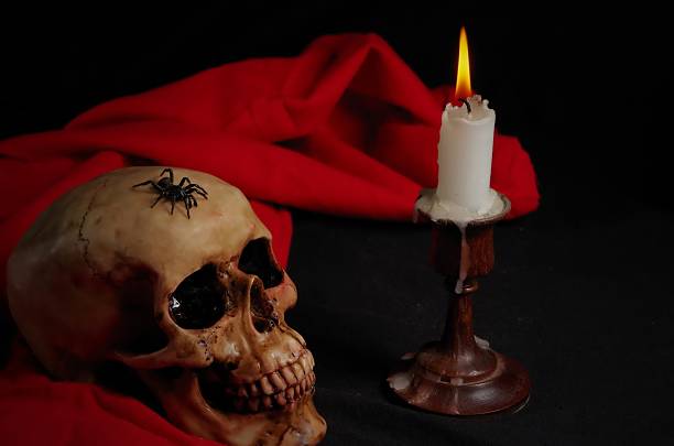 istock Real Spider Crawling on Skull with Candle 520707051
