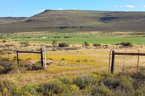 Puerta conduce a farmland agrícola - foto de stock