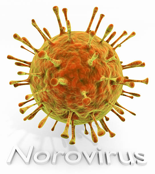 Norovirus With Text stock photo