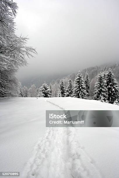 Snowy Road Stock Photo - Download Image Now - Blizzard, Cold Temperature, Cool Attitude