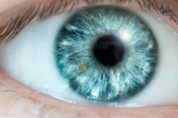 nahaufnahme von einem blauen auge - blaue augen stock-fotos und bilder