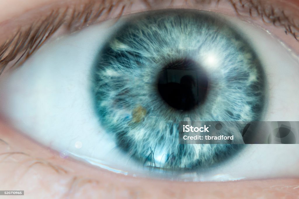 Close Up Of A Blue Eye Macro Photograph Of A Blue Eye Blue Eyes Stock Photo