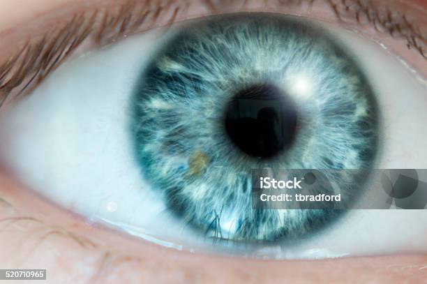 Close Up Of A Blue Eye Stock Photo - Download Image Now - Blue Eyes, Close-up, Iris - Eye