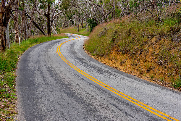 istock Curvy road with double yellow lines in forrest 520711290