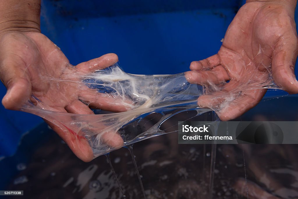 Slime from one of many slime eels or hagfish Slime produced by one of the slime fish caught off the California coast Slimy Stock Photo