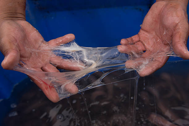 Slime from one of many slime eels or hagfish stock photo