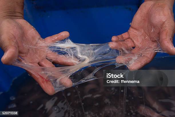Slime From One Of Many Slime Eels Or Hagfish Stock Photo - Download Image Now - Slimy, Saltwater Eel, Animal
