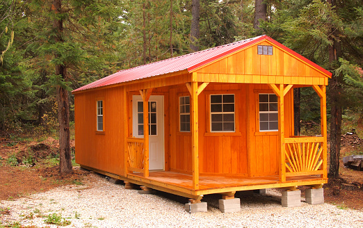 Washington State forest with modern cabin photo.