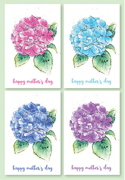 ilustrações de stock, clip art, desenhos animados e ícones de conjunto de ilustrações de dia da mãe, pintura em aquarela de flores hidrângea - mothers day flower single flower purple