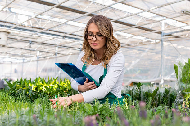 istock Making a List of plants 520713724