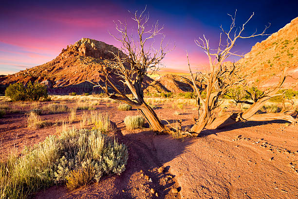 Late afternoon sun washing over the Red Rocks area in Northern New Mexico
