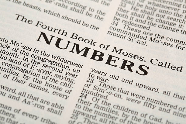 istock Book of Numbers 520732981