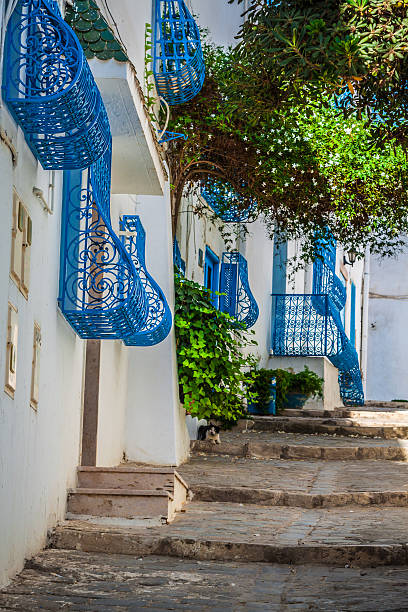 istock Sidi Bou Said - typical building with white walls 520733191