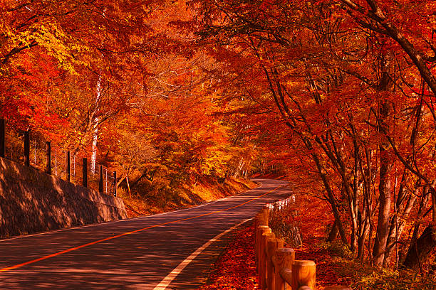 istock Plateau road in autumn 520734013